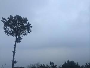 970A021D-D1F0-4D09-B917-A8EDB5ACC576